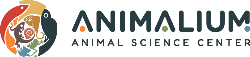 Animalium.id