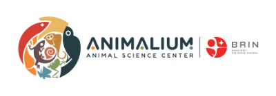 Biawak Kalimantan Bisa Mendengar Tanpa Telinga - Animalium