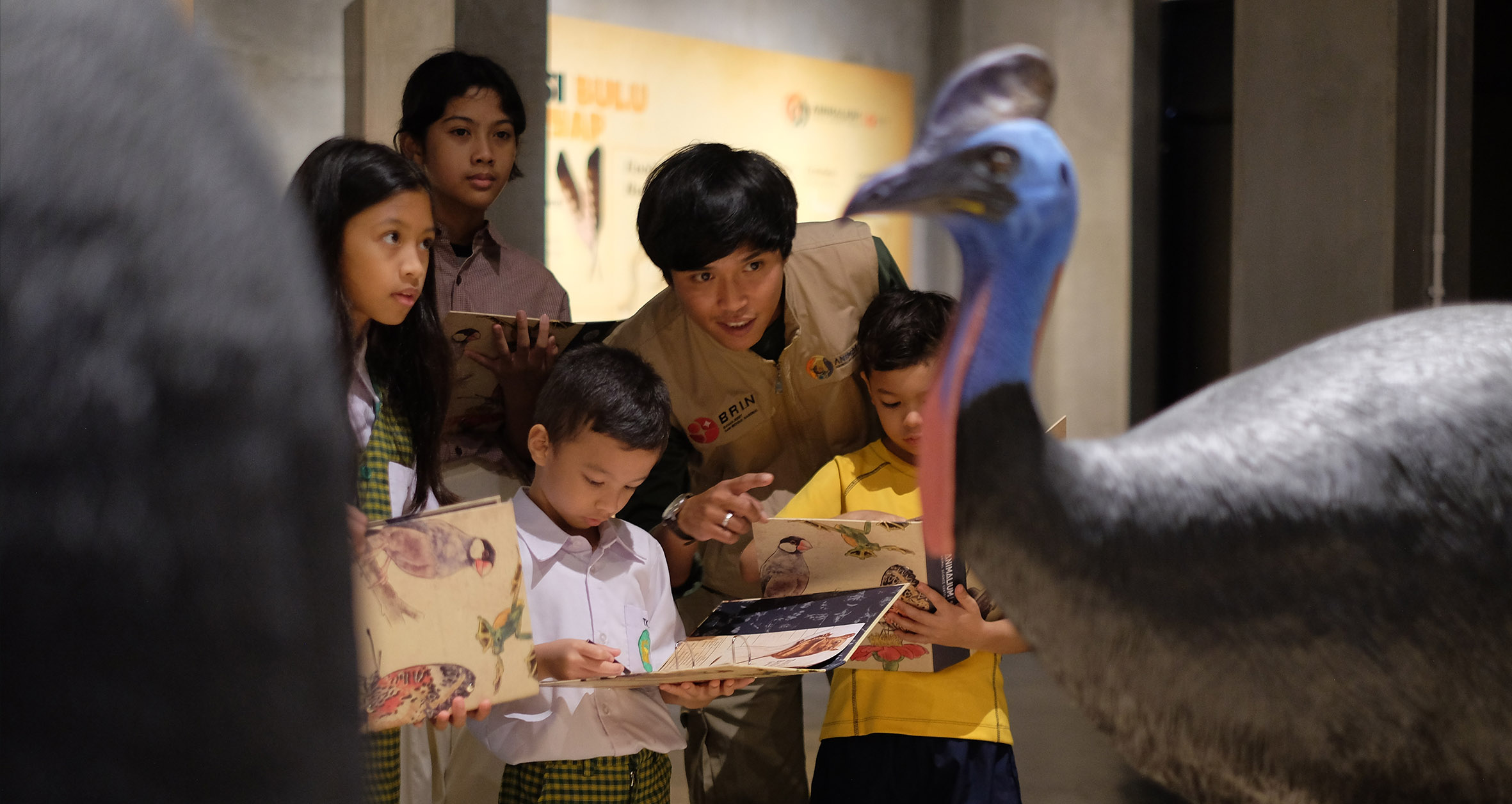 Animalium